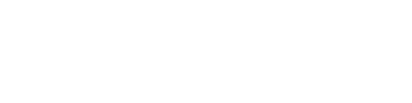 Sales Transformation Partnership